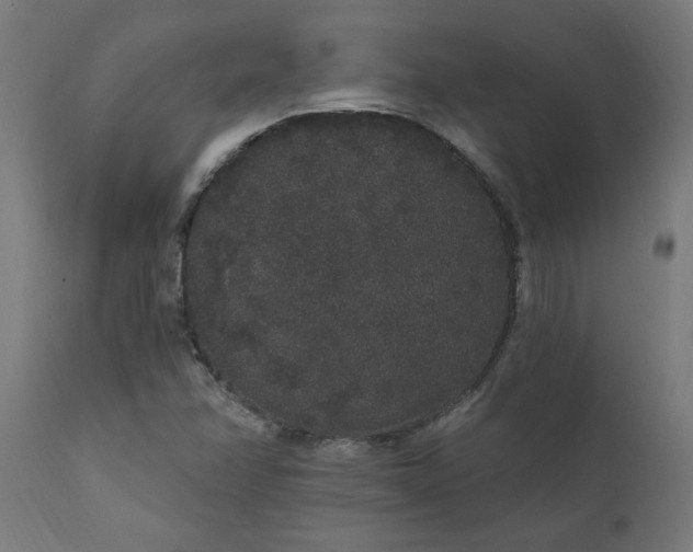 X0000111831358200907301310