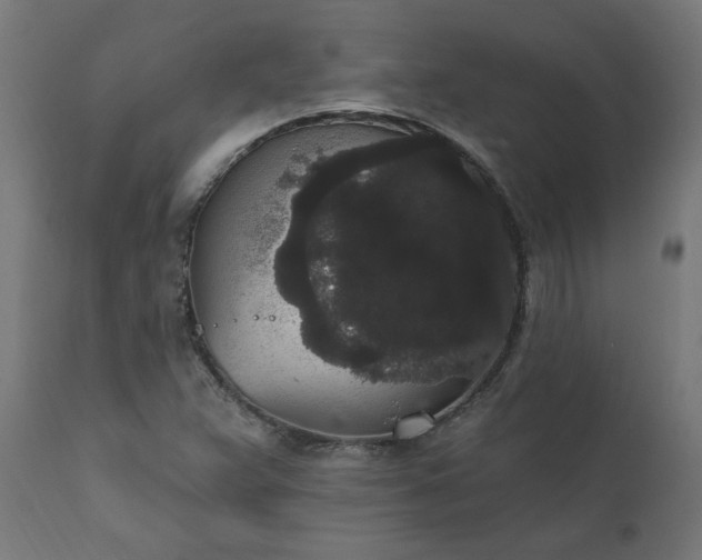 X0000111831359200907301310