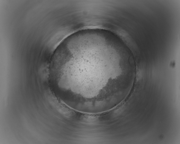 X0000111831361200907301310