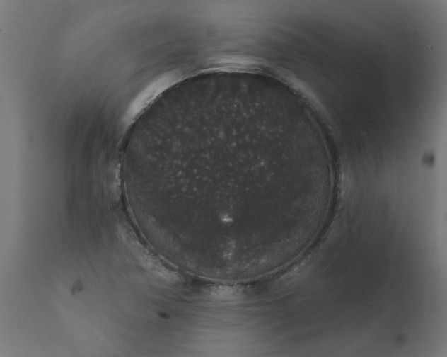 X0000111831362200907301310