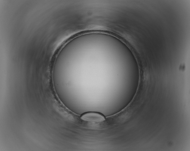 X0000111831364200907301310