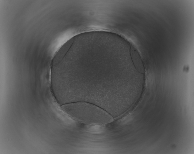 X0000111831365200907301310
