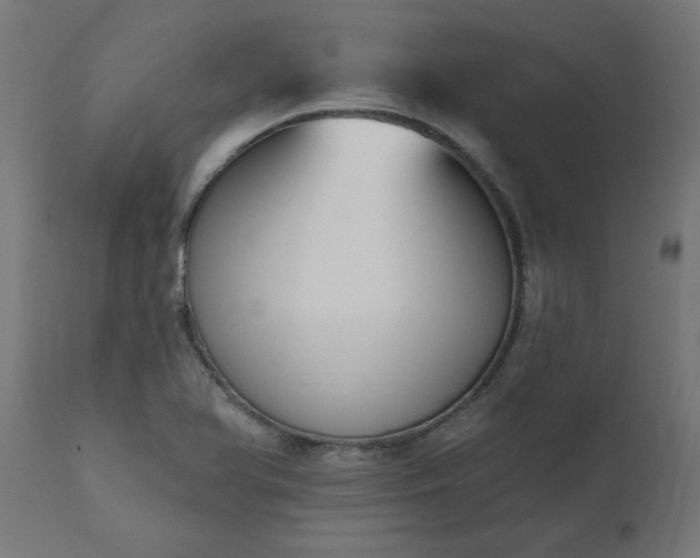 X0000111831366200907301310