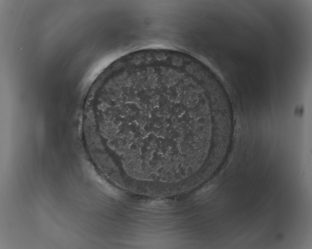 X0000111831367200907301310