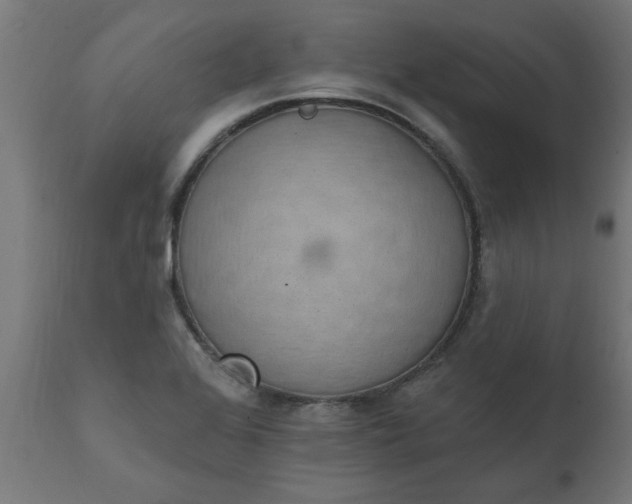 X0000111831368200907301310