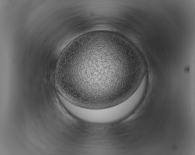 X0000111831369200907301310