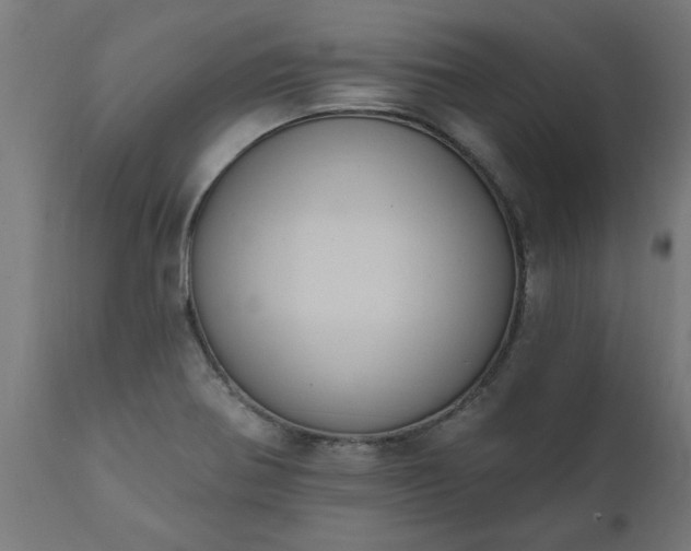 X0000111831370200907301310