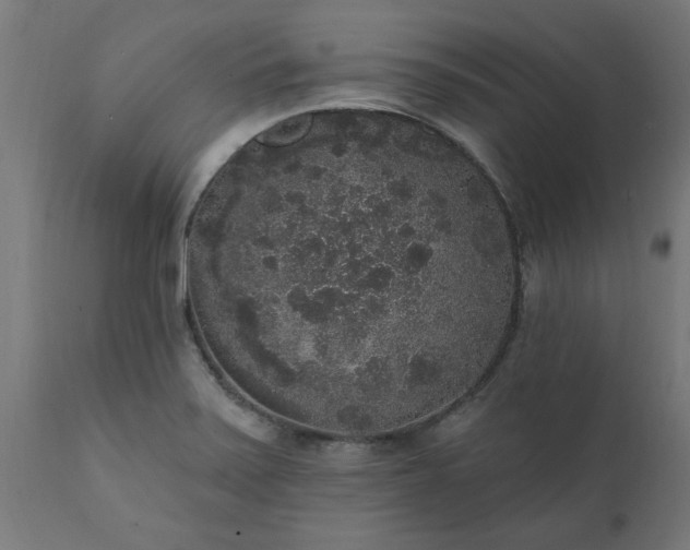 X0000111831371200907301310
