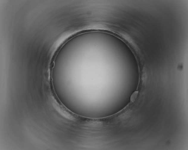 X0000111831372200907301310