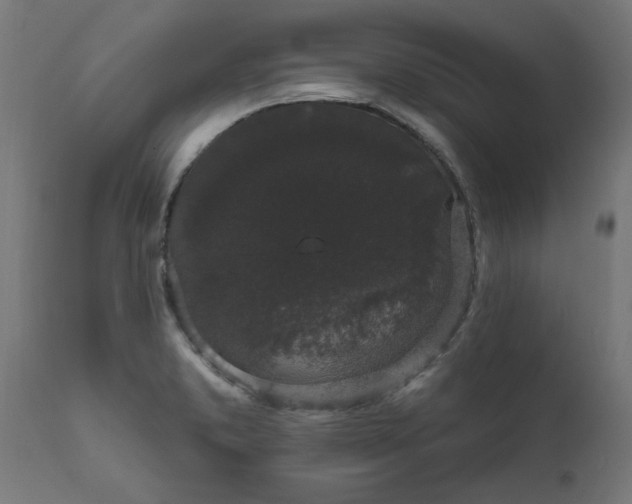 X0000111831373200907301310