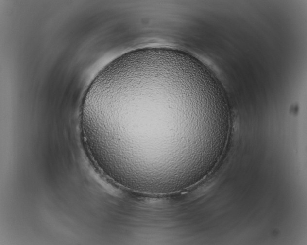 X0000111831375200907301310