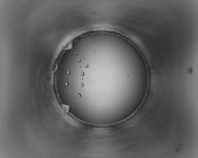 X0000111831376200907301310