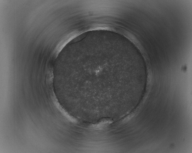 X0000111831377200907301310