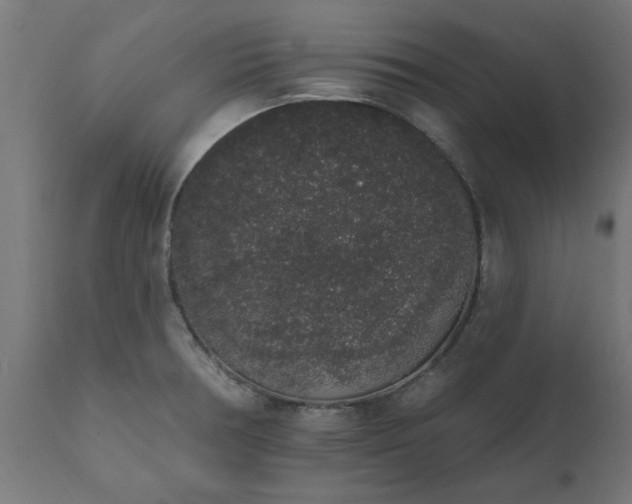 X0000111831378200907301310