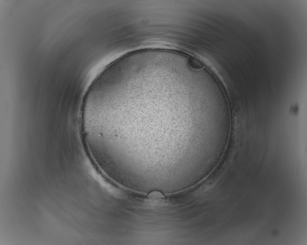 X0000111831379200907301310