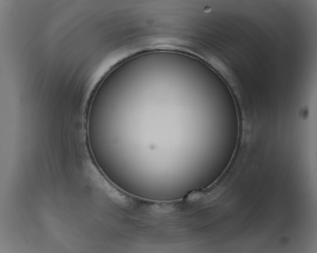 X0000111831384200907301309