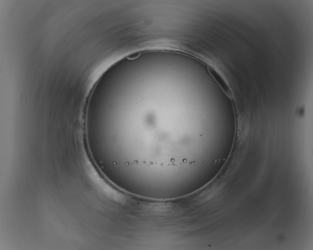 X0000111831387200907301309