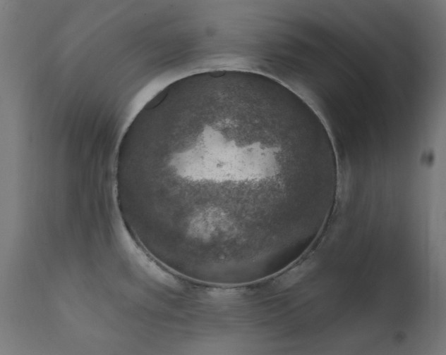 X0000111831389200907301309