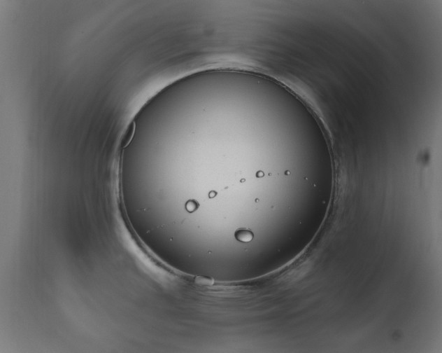 X0000111831391200907301309