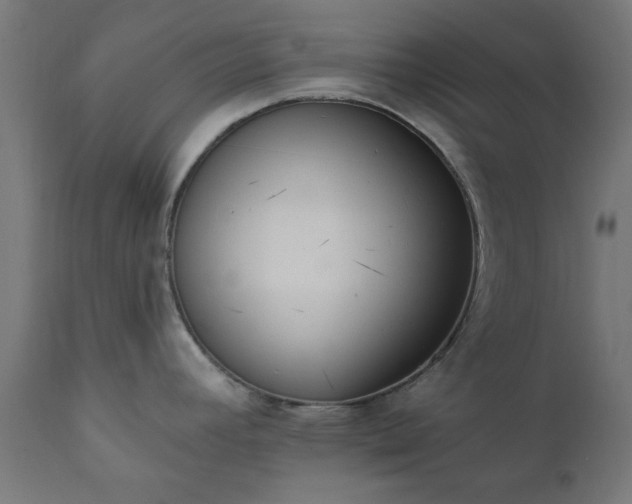 X0000111831392200907301309