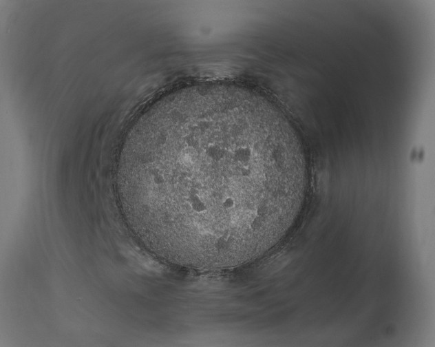X0000111831393200907301309