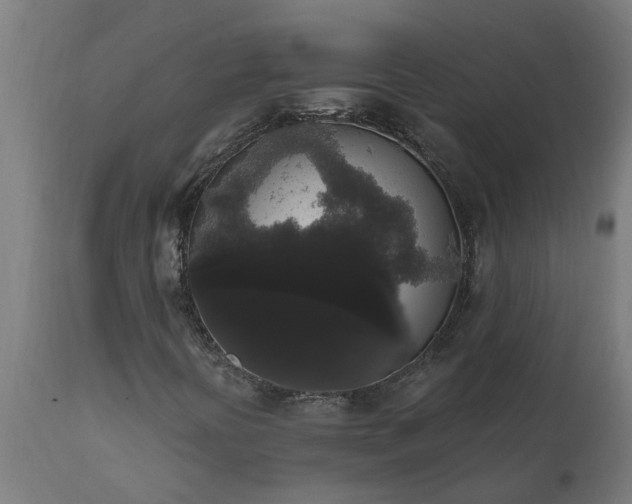 X0000111831394200907301309