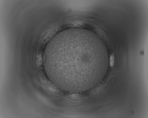 X0000111831395200907301309