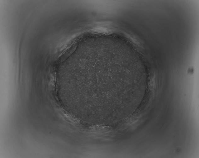X0000111831397200907301309