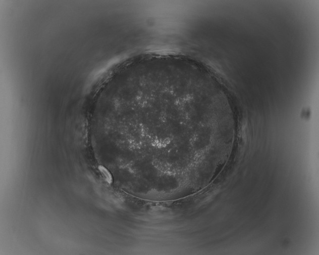 X0000111831398200907301309