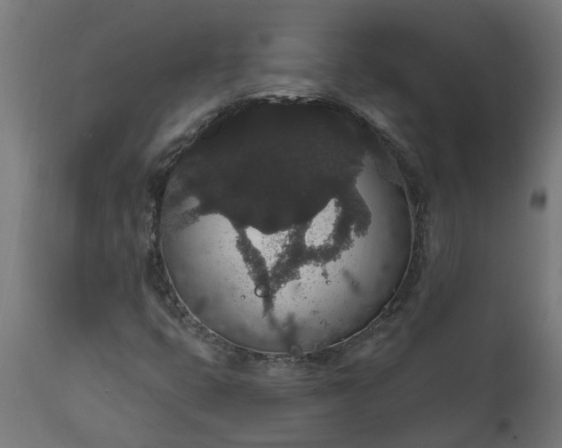 X0000111831399200907301309