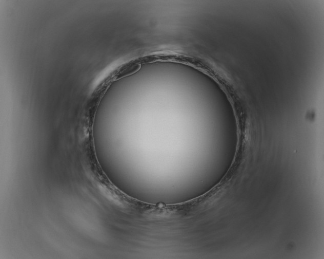 X0000111831400200907301309