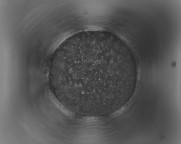 X0000111831401200907301309