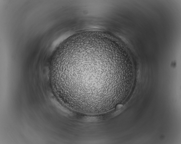 X0000111831402200907301309