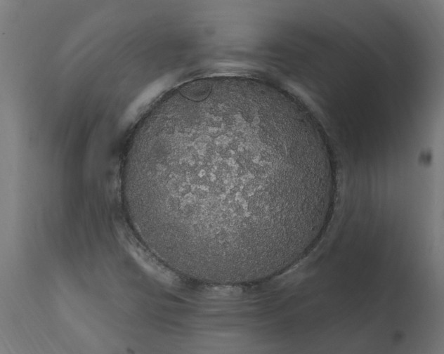 X0000111831403200907301309