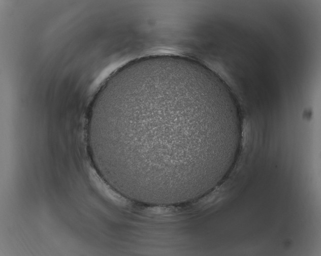 X0000111831404200907301309