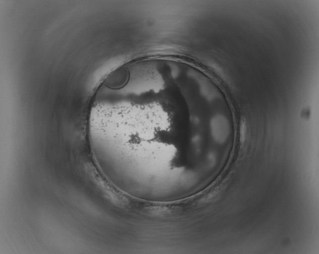 X0000111831405200907301309