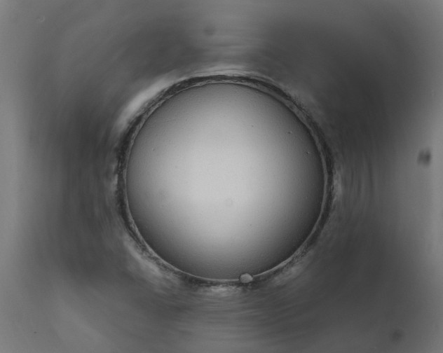 X0000111831406200907301309