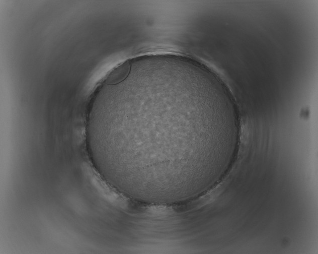 X0000111831407200907301309