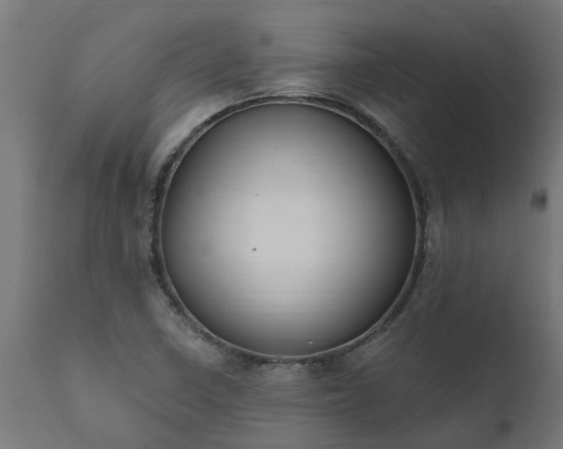 X0000111831410200907301309