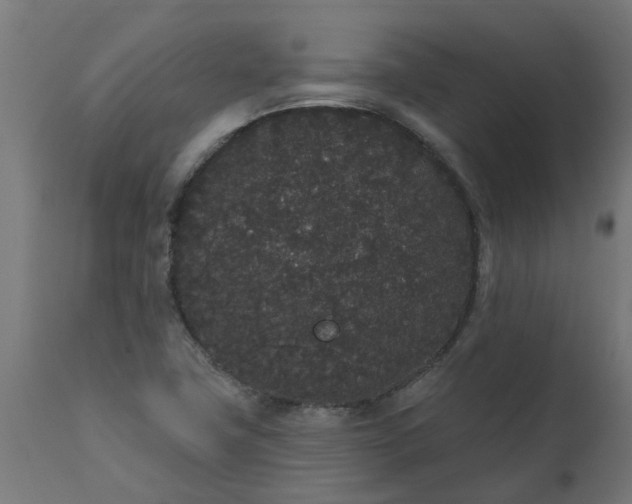 X0000111831411200907301309