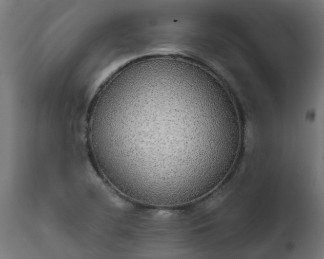 X0000111831412200907301309