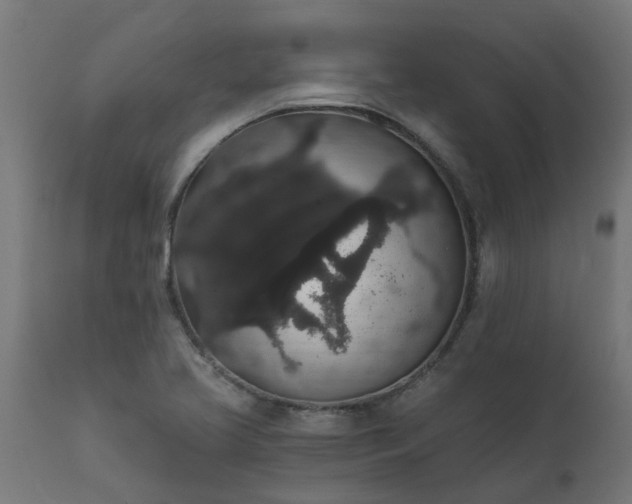 X0000111831413200907301309