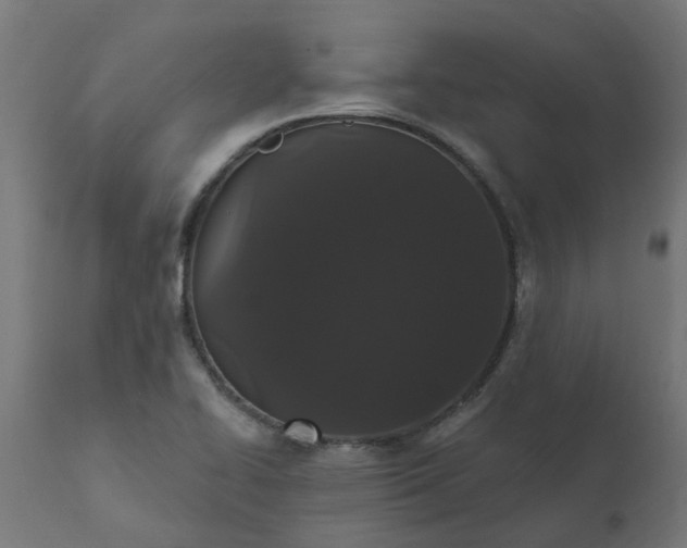 X0000111831414200907301309