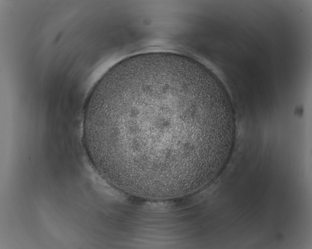 X0000111831415200907301309