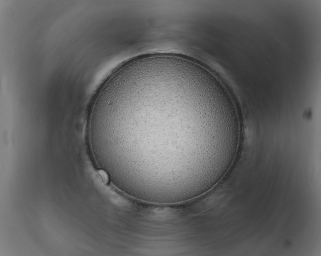 X0000111831416200907301309