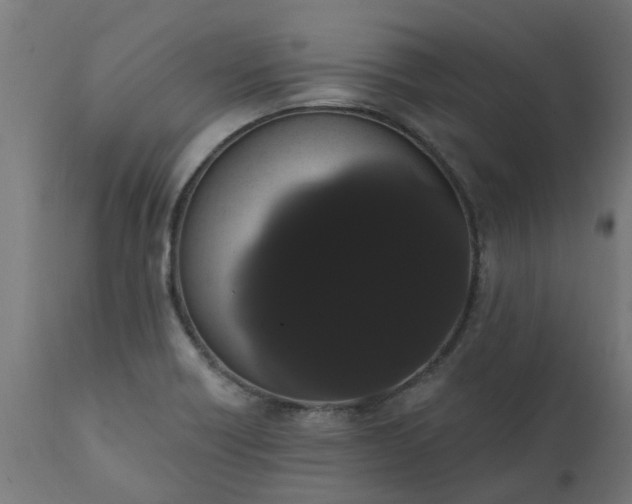 X0000111831418200907301309