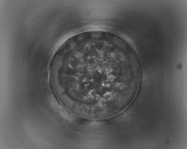 X0000111831419200907301309