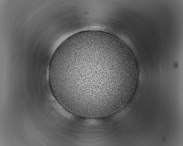X0000111831420200907301309