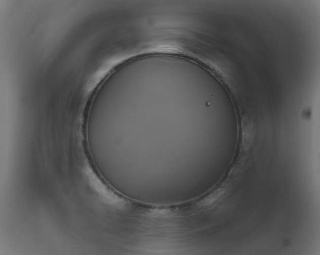 X0000111831422200907301309