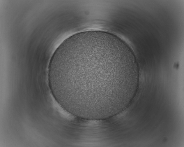 X0000111831423200907301309